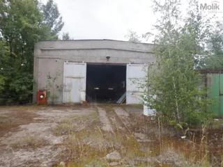 DSCF6800.JPG