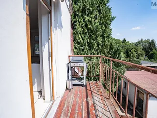 DSC08654.jpg