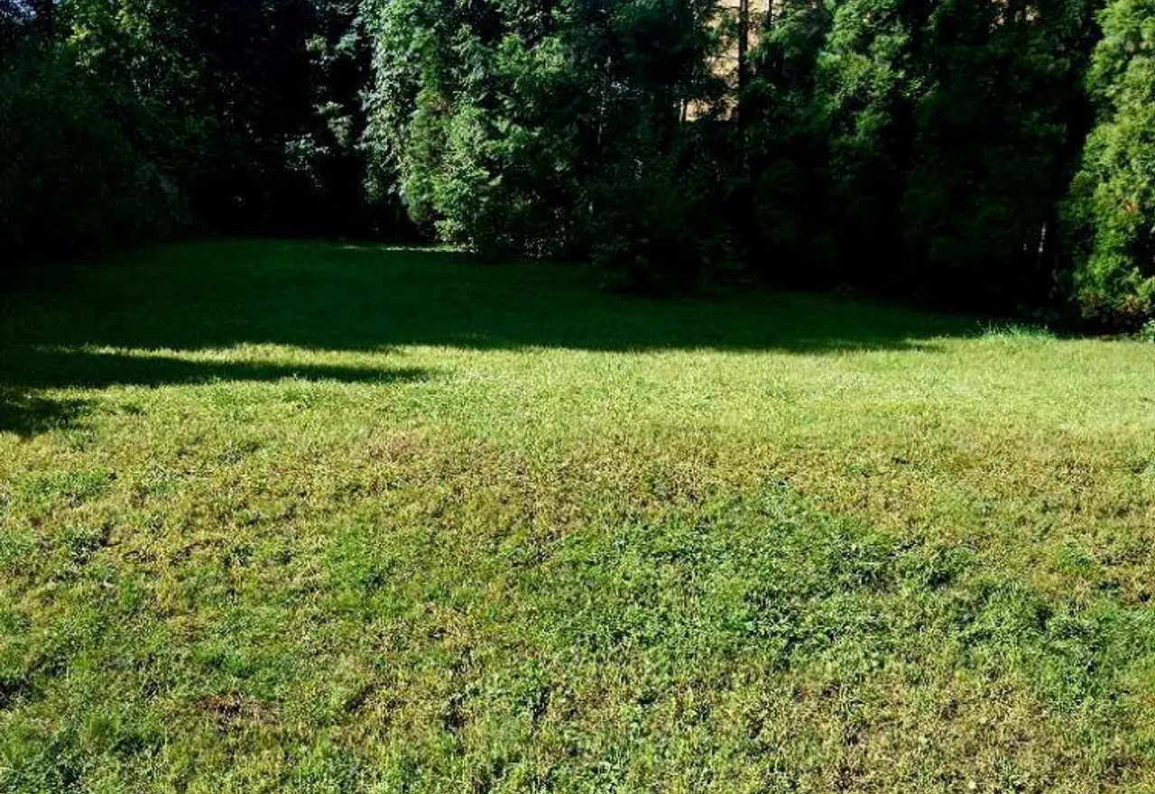 20240706_092200.jpg