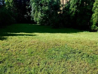 20240706_092200.jpg