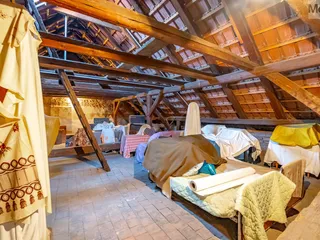 DSC06251-HDR_Nero_AI_Image_Denoiser.jpeg