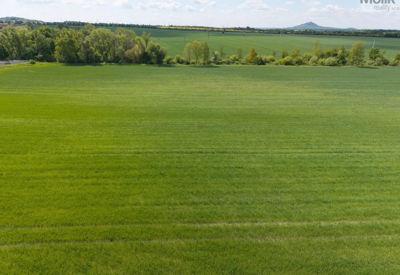 DJI_20250508110704_0236_D.jpg