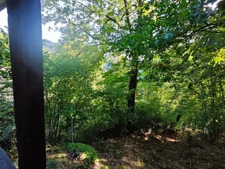 ad6b782b-051e-4d73-9e62-959efdc4068f.jpeg