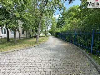 IMG_8587.jpg