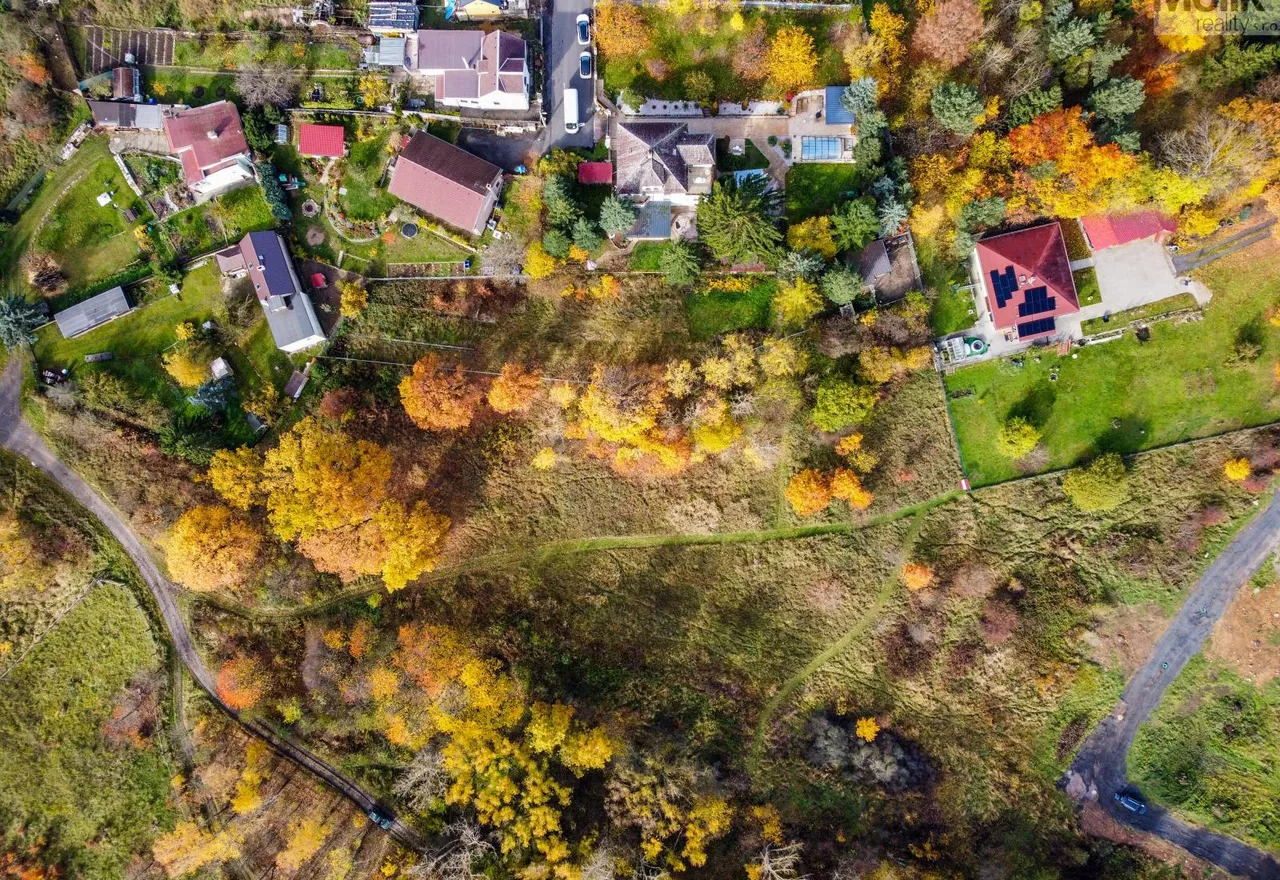 DJI_0667.jpg