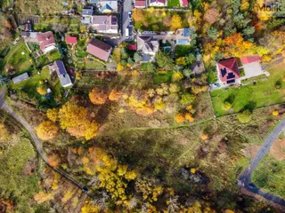 DJI_0667.jpg