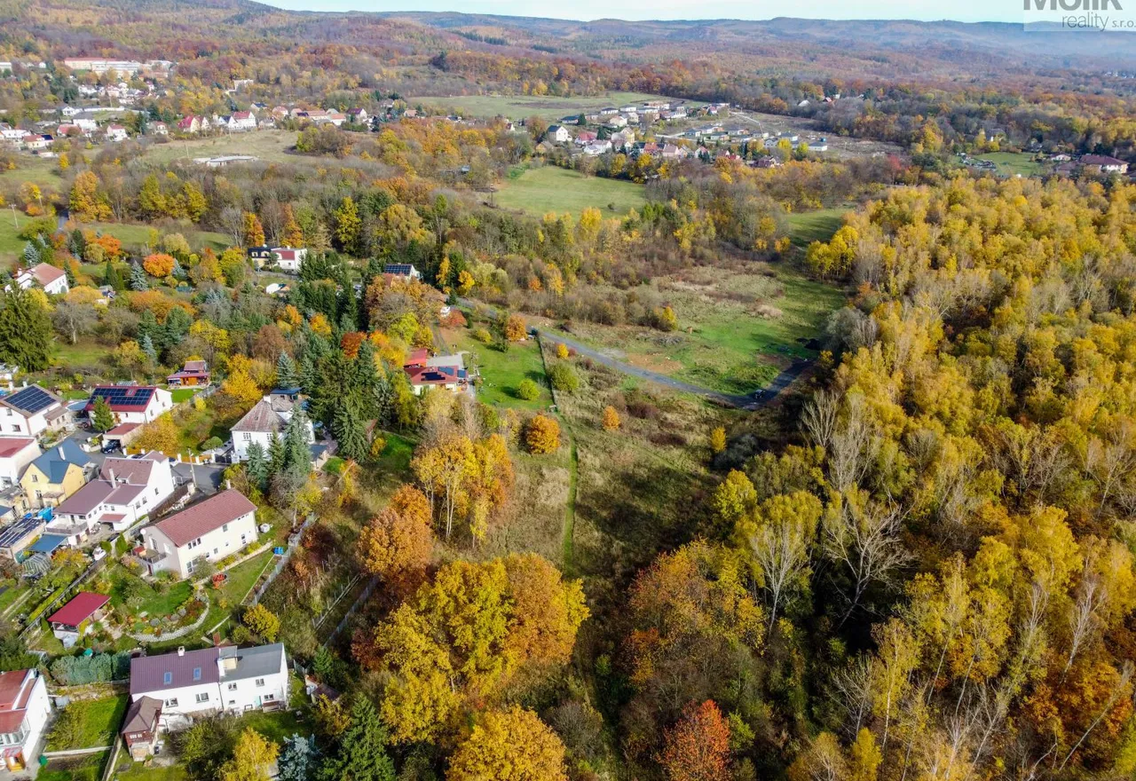 DJI_0675.jpg