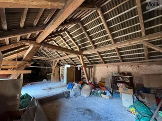 IMG_0180.jpg