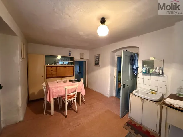 stažený soubor (1).jpg