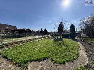 zahrada
