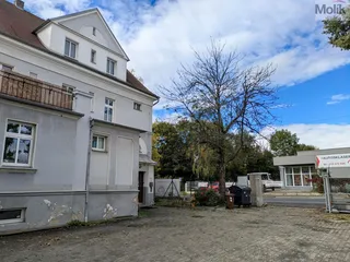 PXL_20251009_114133726.MP.jpg