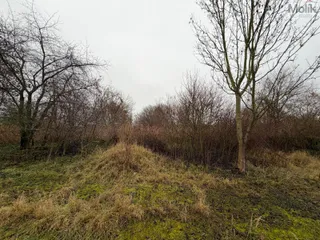 6_PHOTO-2025-12-03-09-25-56.jpg