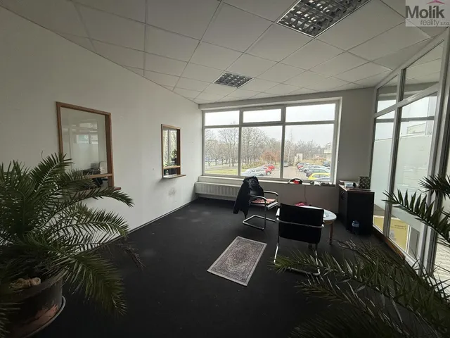 Pronájem obchodního prostoru 41 m²