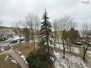 IMG_3730.jpg