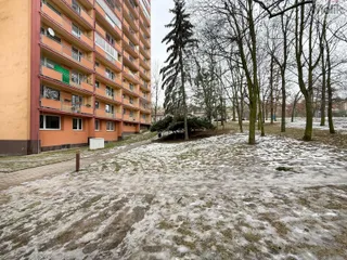 IMG_3744.jpg