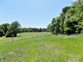 DSCN9134a.jpg