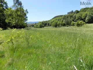 DSCN9140a.jpg