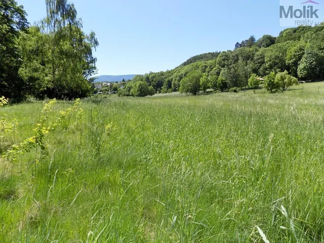 DSCN9140a.jpg
