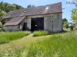 DSCN9150a.jpg