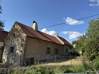 IMG_2733.jpeg