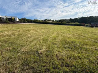 WhatsApp Image 2026-06-16 at 07.34.32 (5).jpeg