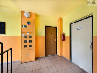 IMG_5900.jpg