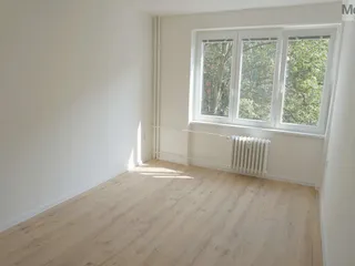 DSC05439