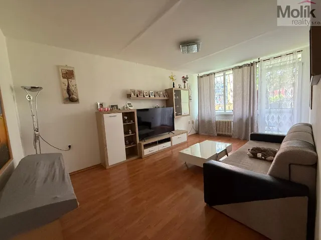 stažený soubor (1)