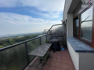 stažený soubor (6)