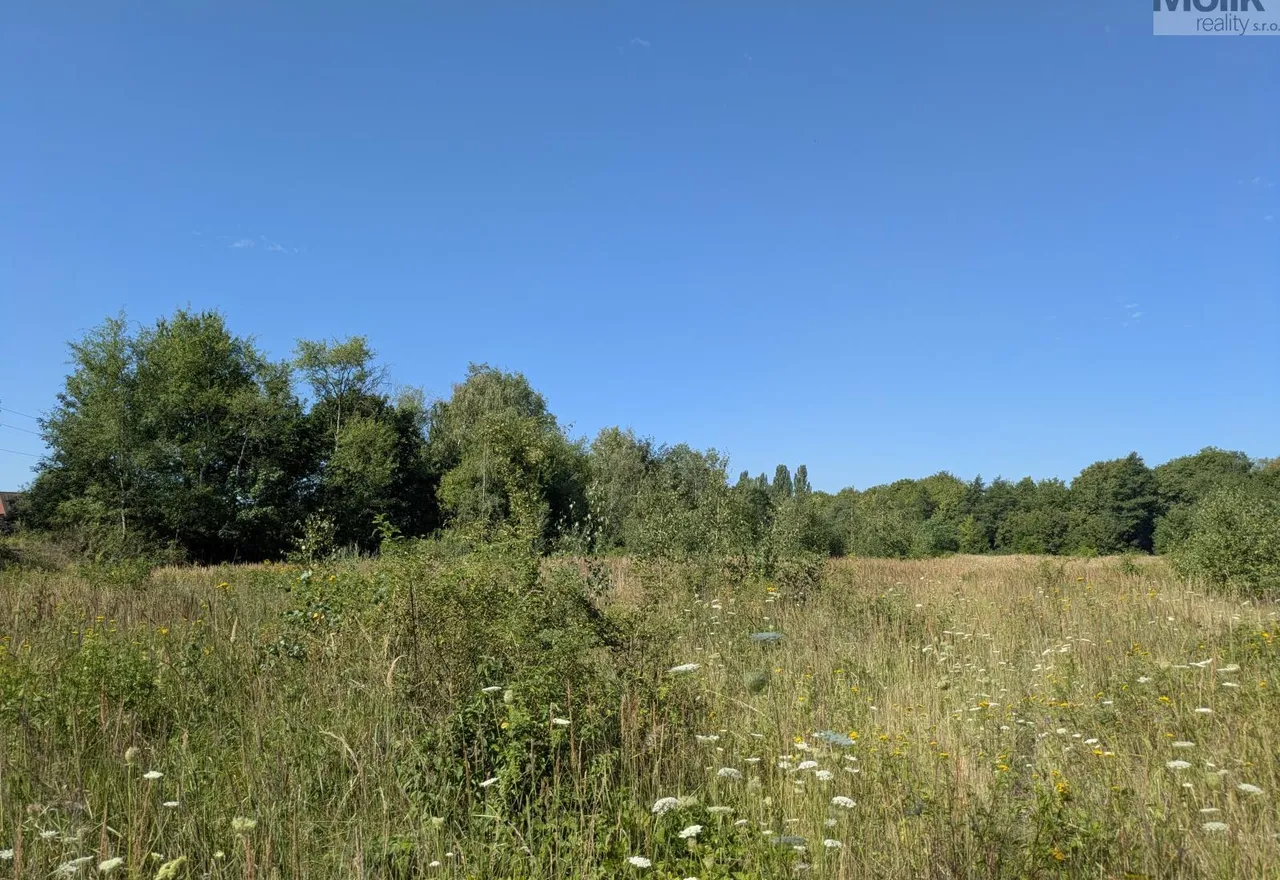 PXL_20260729_081350162
