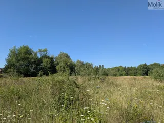 PXL_20260729_081350162