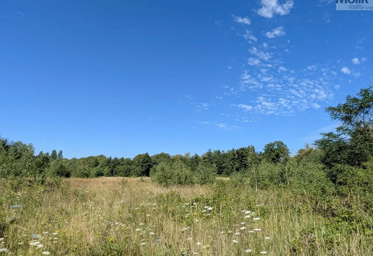 PXL_20260729_081358461