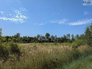 PXL_20260729_081732311.MP (1)