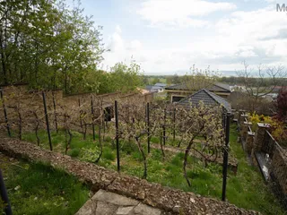 DSC02749.jpg