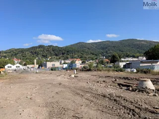 PXL_20260807_071113720.MP