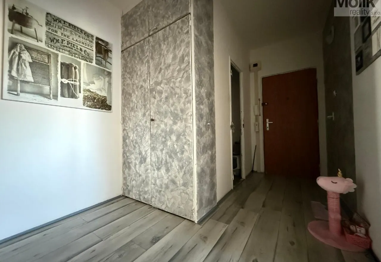 stažený soubor (16)