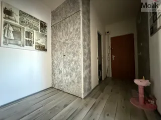 stažený soubor (16)