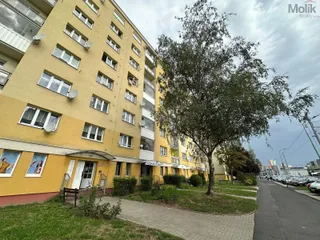 WhatsApp Image 2026-08-28 at 11.45.42