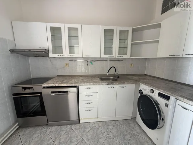 Pronájem atypického bytu 150 m²