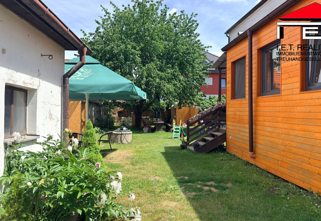 IMG_2355