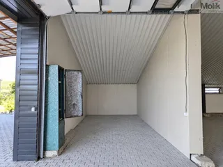 PXL_20260903_065257489_upravena