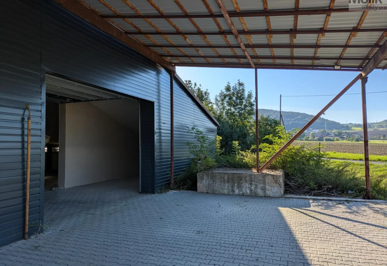 PXL_20260903_065329741_upravena