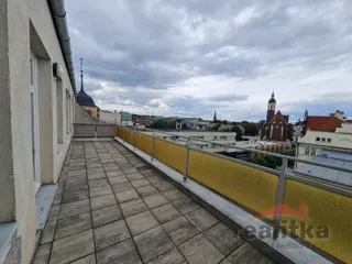 20260903_124514.jpg