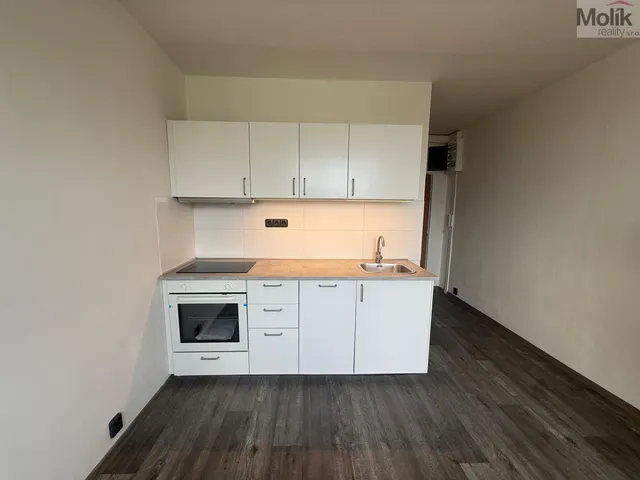 Pronájem bytu 1+1 35 m²
