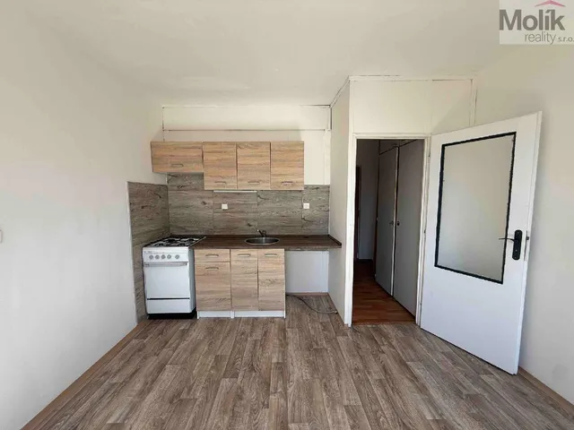 Pronájem bytu 1+1 35 m²
