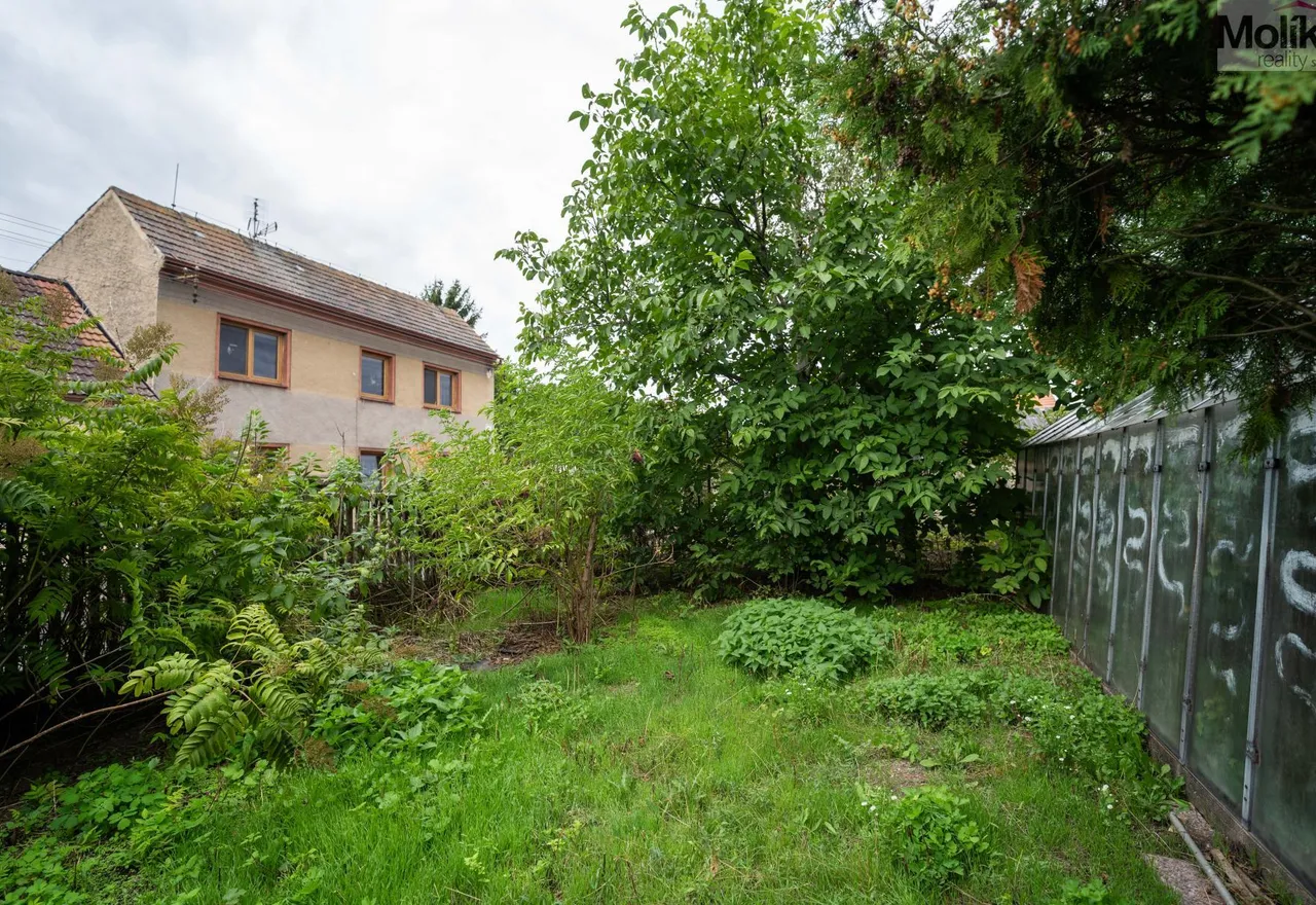 DSC00082