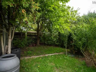 DSC00084