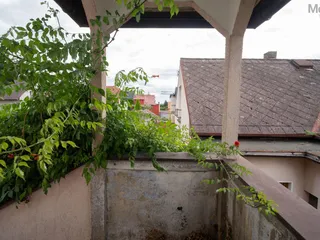 DSC00029