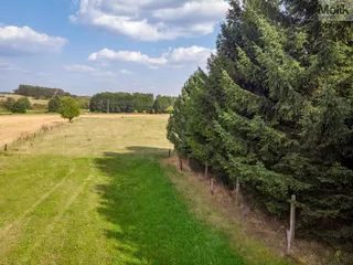 DJI_0138.jpg