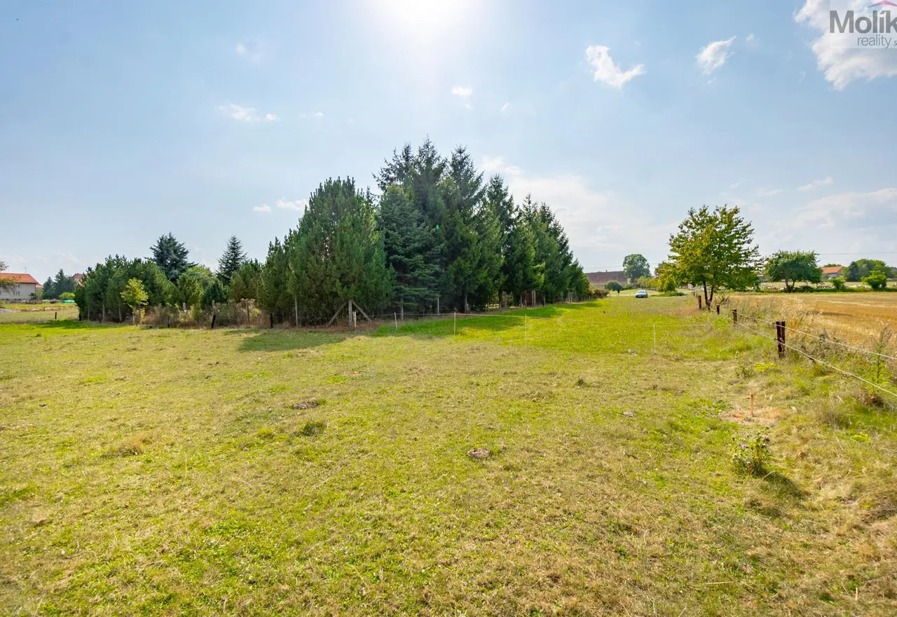 DSC02365-HDR.jpg